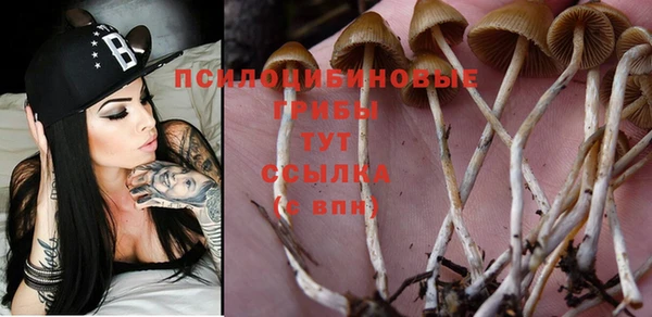 ГАЛЛЮЦИНОГЕННЫЕ ГРИБЫ Алзамай