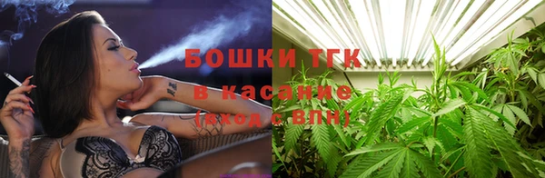 ГАЛЛЮЦИНОГЕННЫЕ ГРИБЫ Алзамай