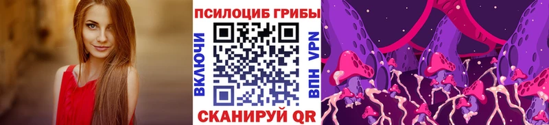Галлюциногенные грибы Psilocybe  как найти закладки  Полысаево 